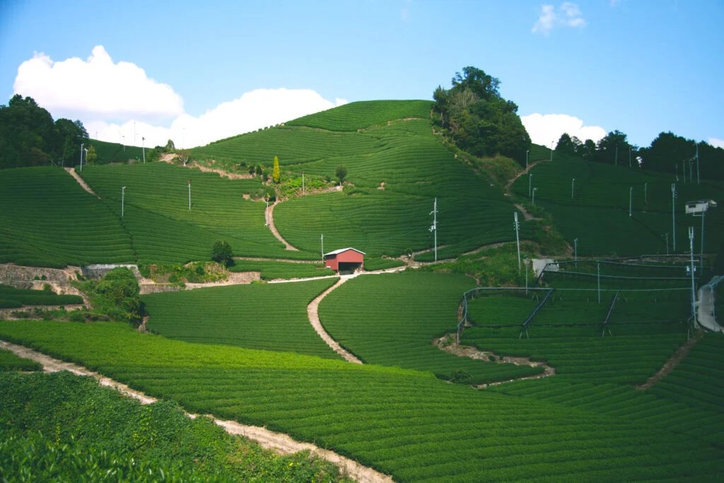 🏞️ 부동천 사방 역사 공원(후도가와 사보 레키시 코엔) 이미지 5